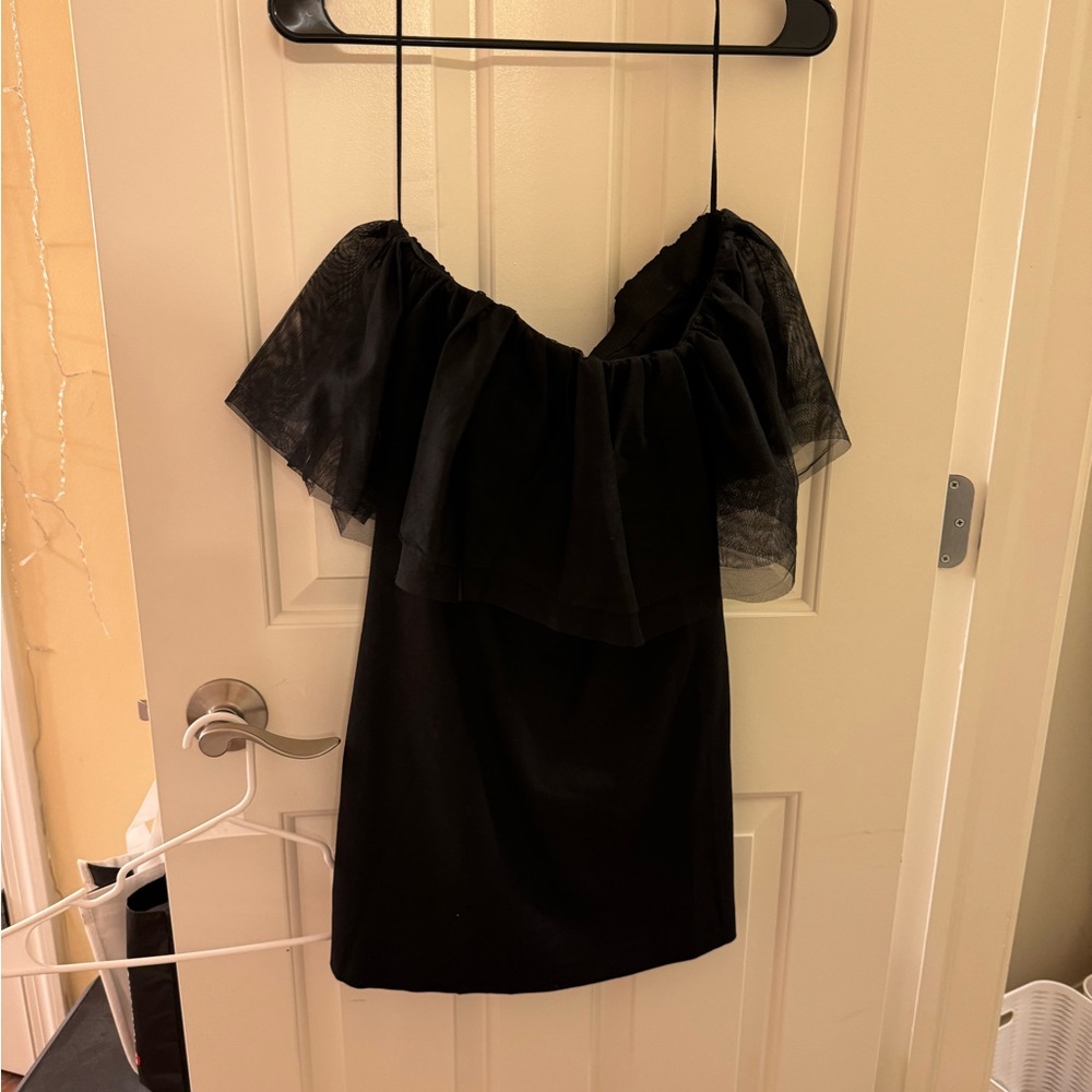 Zara strapless tulle mini dress